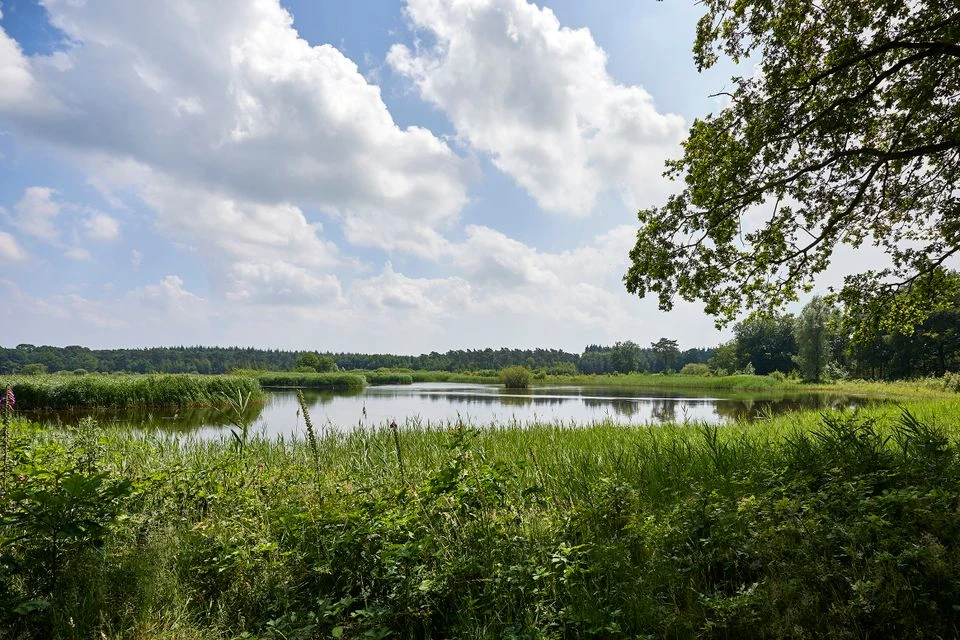 Vessemse vennen bij Vessem en Wintelre, foto van Visit Eersel